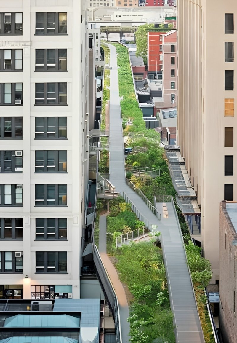 Landscaped walking path with urban garden plants and city views on The High Line elevated park.